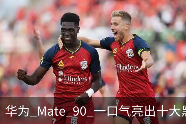 华为 Mate 90 一口气亮出十大黑科技，这次是真憋了个大招