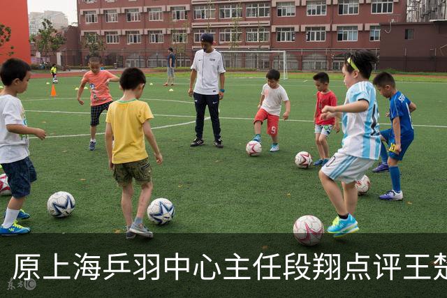 原上海乒羽中心主任段翔点评王楚钦，表示王楚钦在蔡振华时代就是公认的天才，上限很高，但下限也很低，引发球迷热议