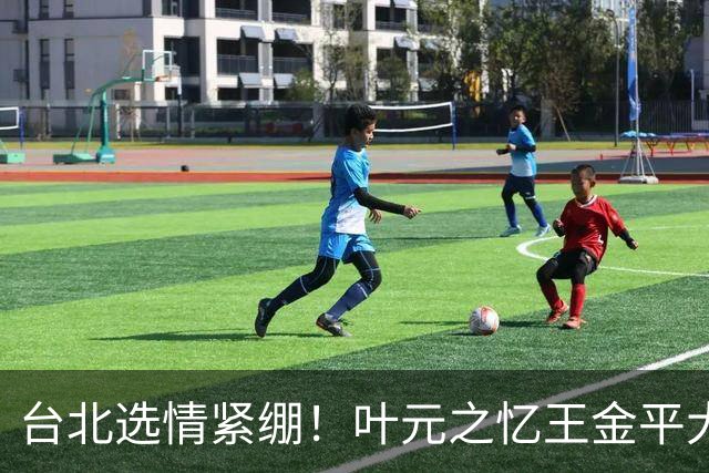 台北选情紧绷！叶元之忆王金平大罢免最后一周示警“只有你危险”