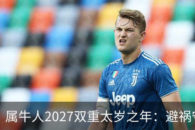 属牛人2027双重太岁之年：避祸守福，实用完整指南