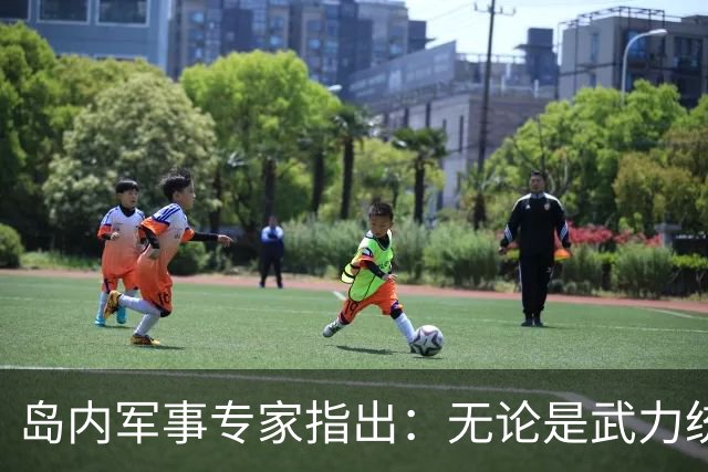 岛内军事专家指出：无论是武力统一还是和平统一都已无望，因为大陆已经开启了最令人担忧的“第三条道路”