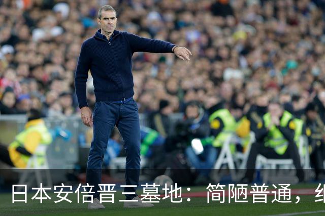 日本安倍晋三墓地：简陋普通，细看墓碑上的刻字，全部为中国汉字