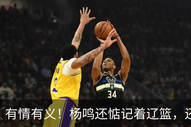 有情有义！杨鸣还惦记着辽篮，还惦记着库珀，隔空喊话太戳人了