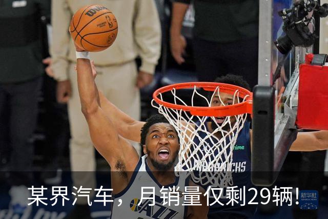 某界汽车，月销量仅剩29辆!