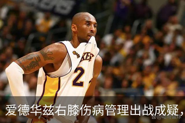 爱德华兹右膝伤病管理出战成疑，森林狼客战骑士少了迪文岑佐