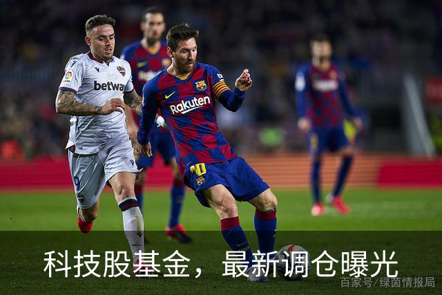 科技股基金，最新调仓曝光