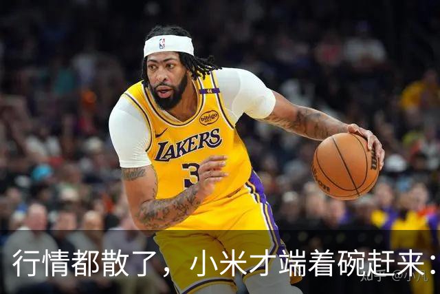 行情都散了，小米才端着碗赶来：单靠复制这条路能走多远？